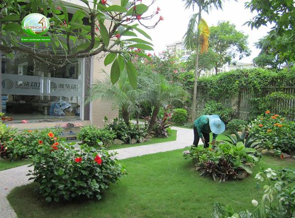 Những lý do bạn nên sử dụng dịch vụ chăm sóc sân vườn