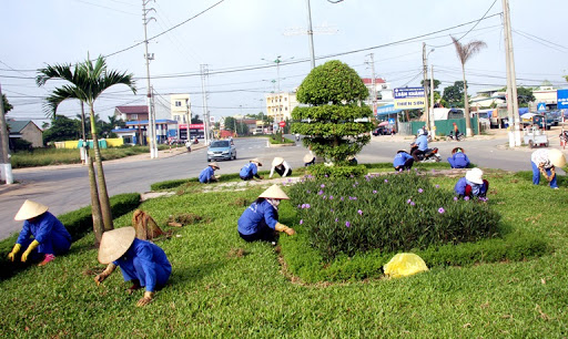 Dịch vụ cây xanh Tân Tài, Long An uy tín