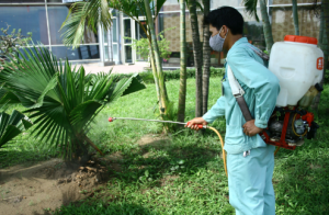 Chăm sóc cảnh quan và cây xanh tại Đồng Nai