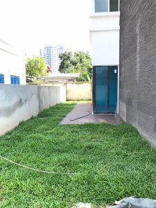 Địa chỉ dịch vụ trồng cỏ lá gừng uy tín tại Bình Dương