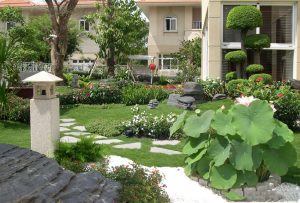 Dịch vụ chăm sóc cây xanh tại Biên Hoà