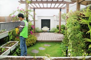 Dịch vụ chăm sóc cây xanh tại Lái Thêu