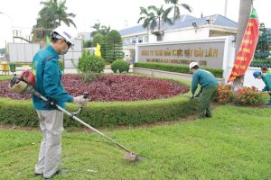 Thi công mảng xanh tại Dĩ An