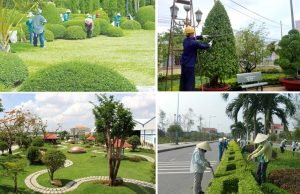 Thi công mảng xanh tại Lái Thêu